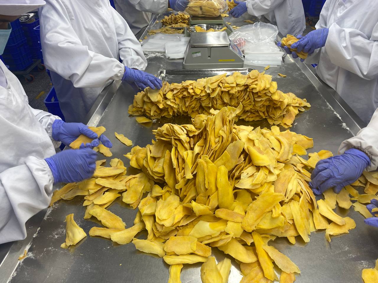 Quality Control Facility